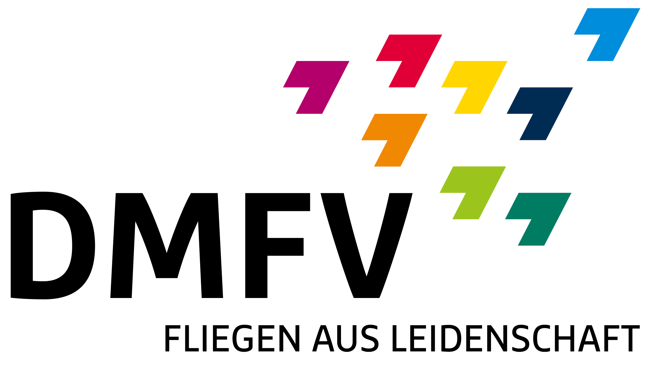 DFMV Logo